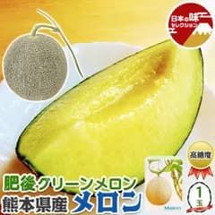 肥後 グリーン メロン  1玉入 熊本県産 化粧箱｜父の日 フルーツ お中元 お見舞い お供え 高級果物 贈答用 ギフト 