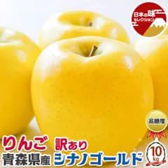 訳あり りんご 青森 シナノゴールド 10kg【クール便】林檎 家庭用 お買い得品 家族へのプレゼント お試し ご家庭用 糖度保証 SDGS 果物 フルーツ アップル