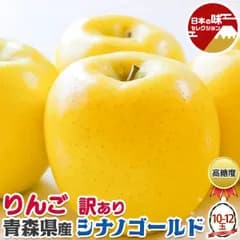 訳あり りんご 青森 シナノゴールド 10-12玉入【クール便】林檎 家庭用 お買い得品 家族へのプレゼント お試し ご家庭用 糖度保証 SDGS 果物 フルーツ アップル