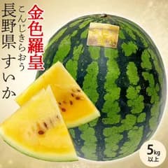 TVで紹介！ スイカ 信州 こんじきらおう 西瓜 金色羅皇 1玉 5kg以上 長野県産 希少 限定 高糖度 ｜段ボール 贈答用 ギフト 高級フルーツ 果物 贈物 プレゼント