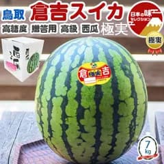 夏ギフト 大玉 すいか 鳥取県 倉吉 西瓜 極実 ごくみ 7kg以上 希少 限定 高糖度 ｜段ボール 贈答用 ギフト 高級フルーツ 果物 贈物 プレゼント