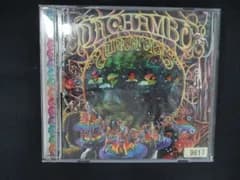 2530 レンタル版CD Newrasian Gypsies/DACHAMBO