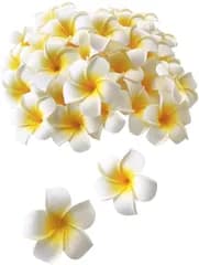 プルメリア 造花 花のみ ハンドメイド DIY用品 飾りつけ 装飾 アクセサリー ホワイト 4cm 30個