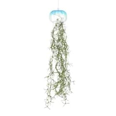 新品 Francfranc フランフラン アートグリーン ジェリーフィッシュ ブルー 吊り下げ 観葉植物 造花 枯れない 人口観葉