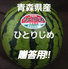 ★期間限定★青森県産 ひとりじめ スイカ 贈答用 2玉以上＆他品種ご希望の方も大歓迎!! ④