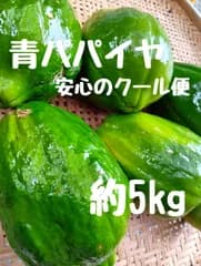 【クール便】青パパイヤ 約5kg