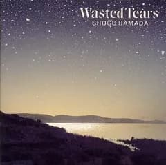 (CD)WASTED TEARS - 浜田省吾／浜田省吾