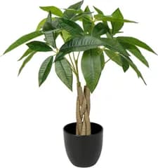 Villa Como フェイクグリーン 人工観葉植物 パキラ 多幸の木 高さ45cm インテリアグリーン 新築祝い 開店祝い 新年 クリスマス オフィス 店 卓上 おしゃれ 管17-5