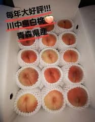 【先行予約開始7/31まで】訳あり川中島白桃!!