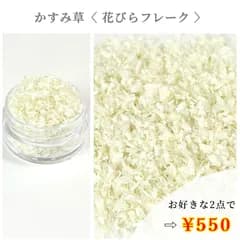 No.486 かすみ草　花びらフレーク　ドライフラワー