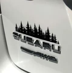 パインツリーステッカー、ビニールフォレストデカール 車のバンパー、トラックのテールゲート、ウィンドウ用 | 車両バッジやエンブレム用のプレミアムグラフィック | キャンピングカーアクセサリー キャンプやハイキング愛好家へのギフトア [7" x 2" inch]