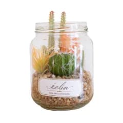 エクリア eclia 抗菌 防汚 消臭 造花 ナチュラル 消臭アーティフィシャルグリーン インテリア CT触媒 トイレ キッチン 玄関 ダイニング リビング Aタイプ 多肉植物 サボテン 寄せ植え おしゃれ フェイクグリーン Ampoule