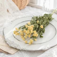 アトリカリア 約10g ドライフラワー 花材