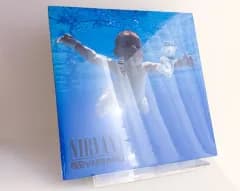 未開封 Nirvana ニルヴァーナ Nevermind LP 記録