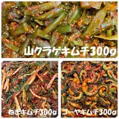 山クラゲキムチ300ｇ　ねぎキムチ300ｇ　ゴーヤキムチ300ｇ
