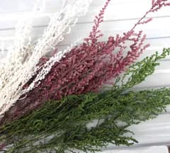 めぐみ工房 北海道ドライフラワー
プリザードフラワー・ソフトストーベ3色セット