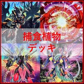 遊戯王　デッキ　捕食植物　プレデター・プランツ　スターヴ　[04575] 1枚
