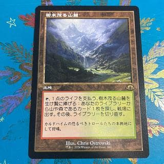 樹木茂る山麓 旧枠 MTG 日本語 1枚