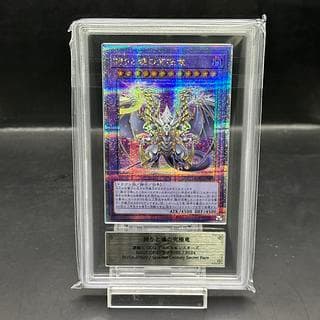 【ARS10】誇りと魂の究極竜 [25th] {ROTA-JP000} 1枚