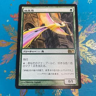 極楽鳥 M11 MTG 日本語 1枚