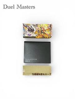 デュエルマスターズ 1枚