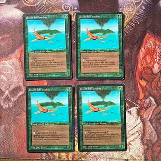 MTG 極楽鳥　黒枠　イタリア語　4枚セット　FBB 4枚